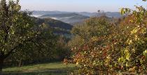 Rally Vsetin